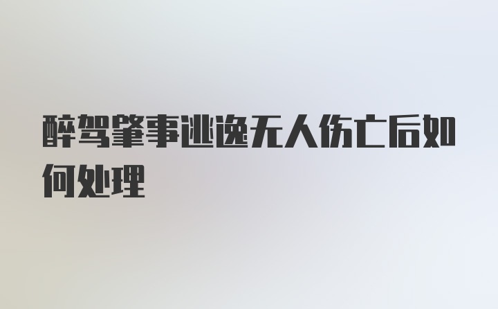 醉驾肇事逃逸无人伤亡后如何处理