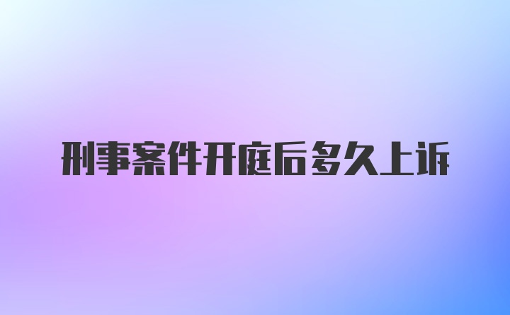 刑事案件开庭后多久上诉