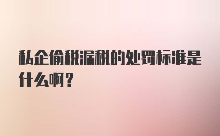 私企偷税漏税的处罚标准是什么啊？