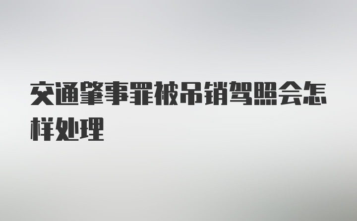 交通肇事罪被吊销驾照会怎样处理