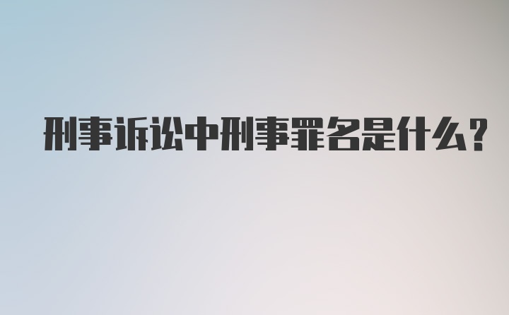 刑事诉讼中刑事罪名是什么？