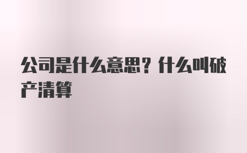 公司是什么意思？什么叫破产清算