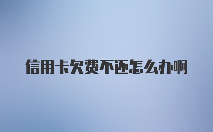 信用卡欠费不还怎么办啊