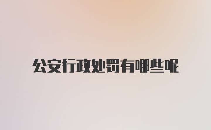 公安行政处罚有哪些呢