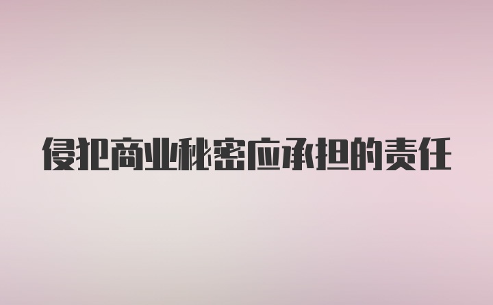 侵犯商业秘密应承担的责任