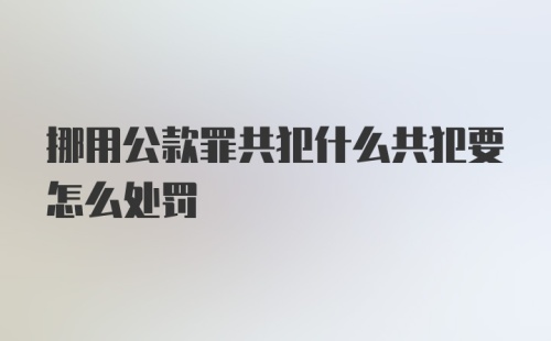 挪用公款罪共犯什么共犯要怎么处罚