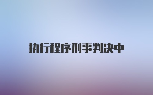 执行程序刑事判决中