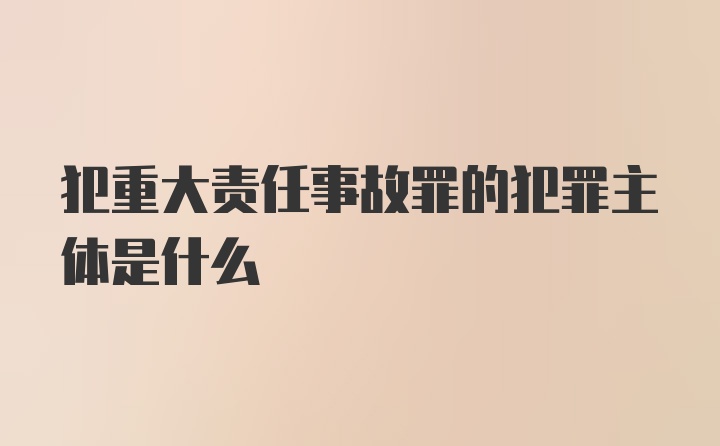 犯重大责任事故罪的犯罪主体是什么