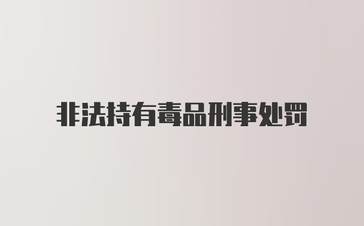 非法持有毒品刑事处罚