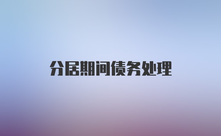 分居期间债务处理