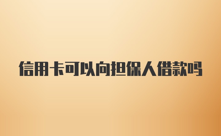 信用卡可以向担保人借款吗