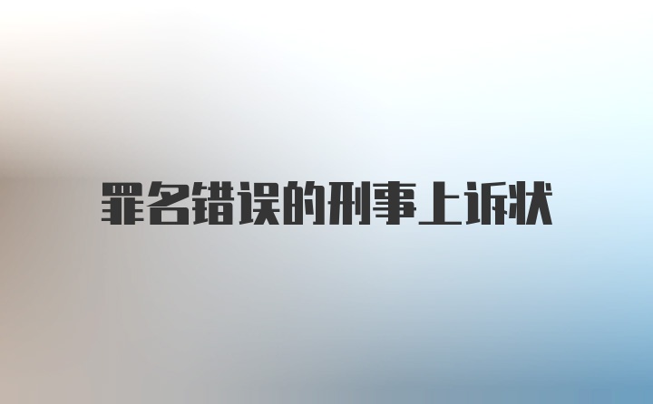 罪名错误的刑事上诉状