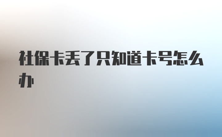 社保卡丢了只知道卡号怎么办