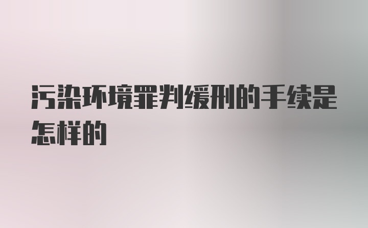 污染环境罪判缓刑的手续是怎样的