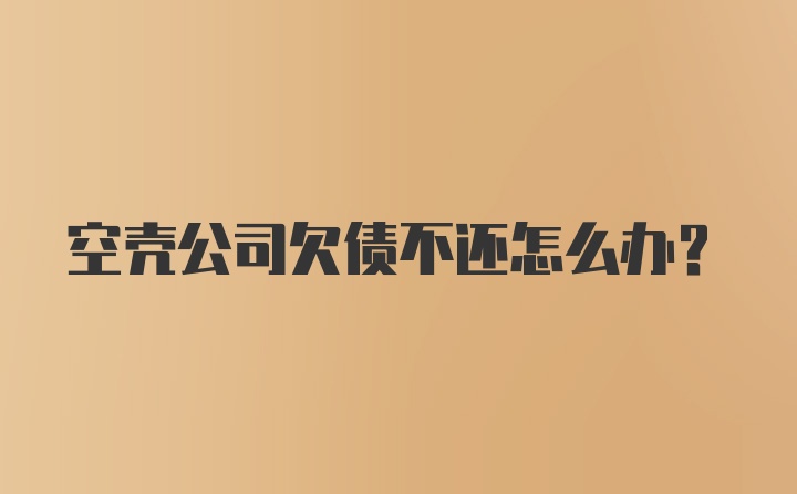 空壳公司欠债不还怎么办？