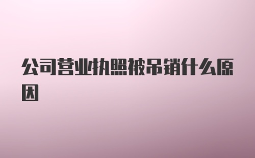 公司营业执照被吊销什么原因