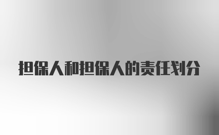 担保人和担保人的责任划分