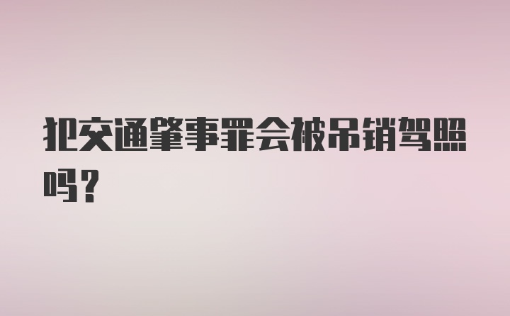 犯交通肇事罪会被吊销驾照吗？