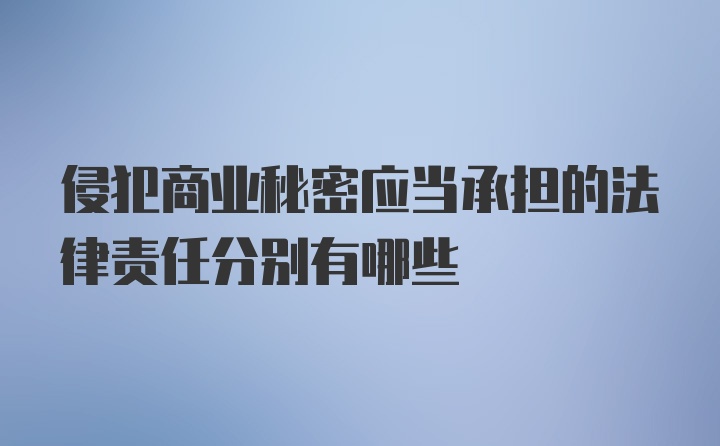 侵犯商业秘密应当承担的法律责任分别有哪些