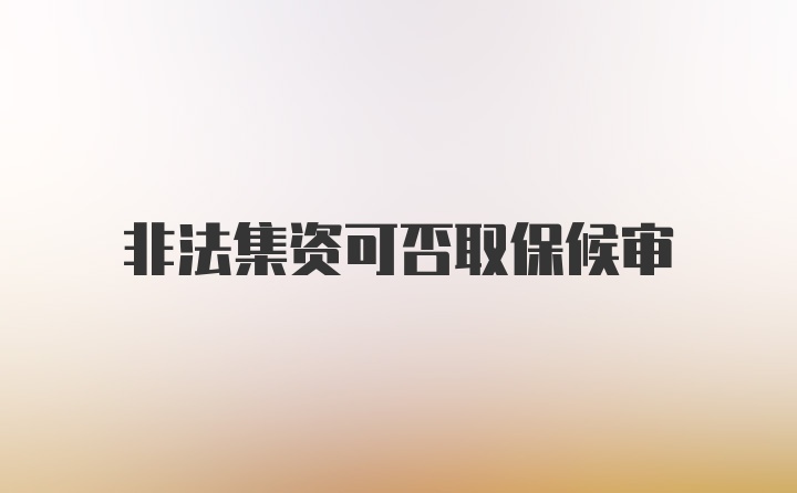 非法集资可否取保候审