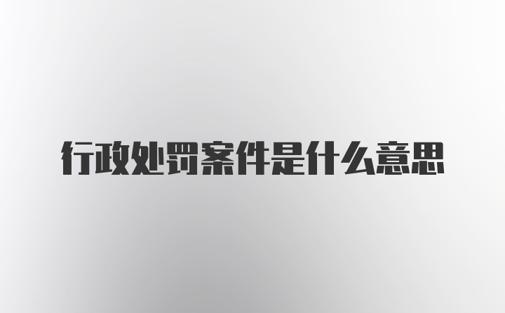 行政处罚案件是什么意思