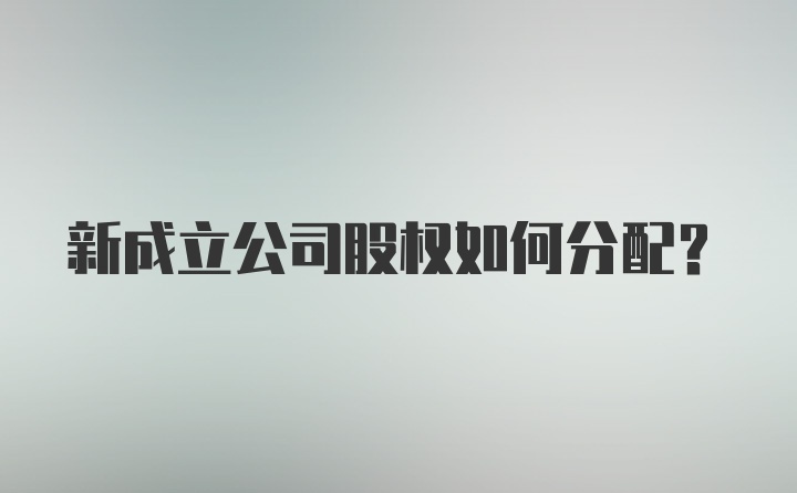 新成立公司股权如何分配？