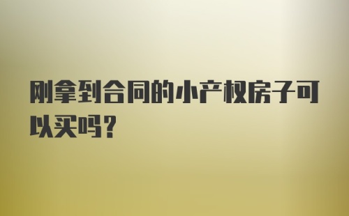 刚拿到合同的小产权房子可以买吗？