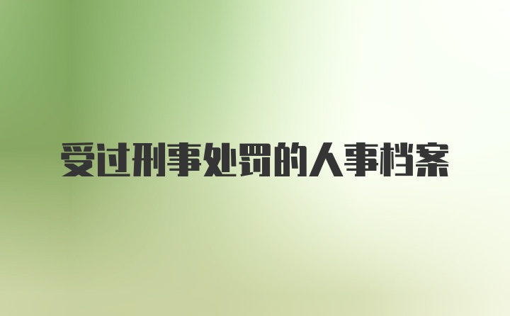 受过刑事处罚的人事档案