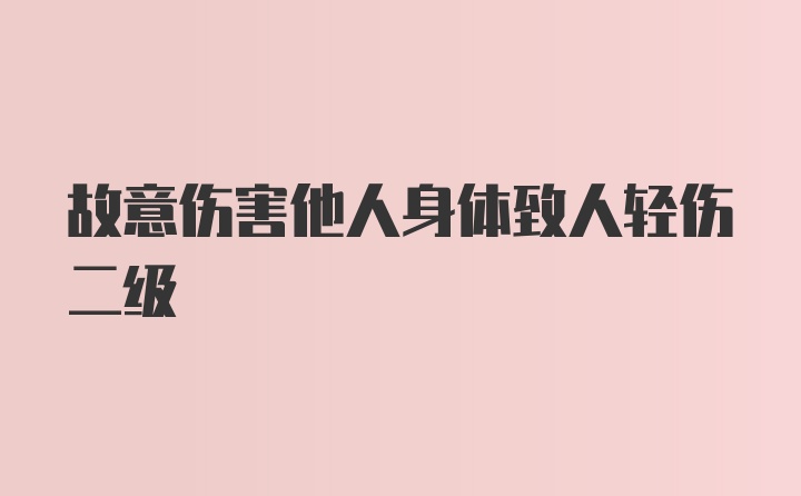 故意伤害他人身体致人轻伤二级