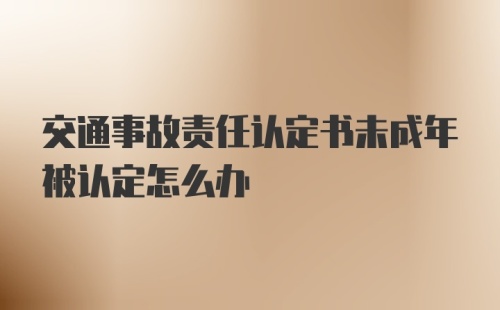 交通事故责任认定书未成年被认定怎么办