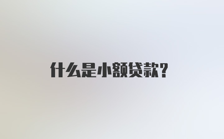 什么是小额贷款?