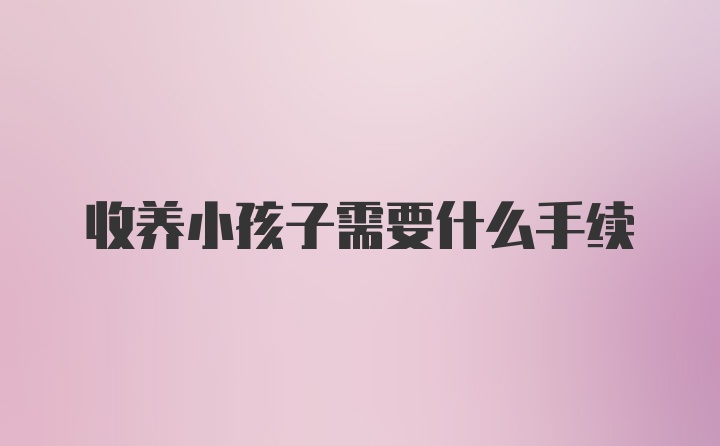 收养小孩子需要什么手续