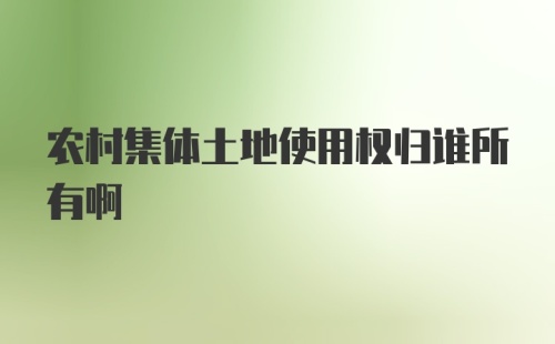 农村集体土地使用权归谁所有啊