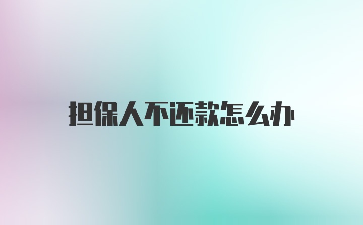 担保人不还款怎么办