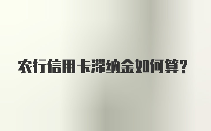 农行信用卡滞纳金如何算？