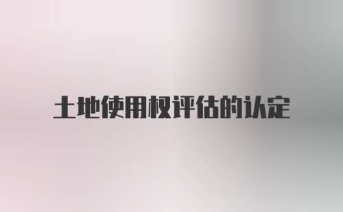 土地使用权评估的认定