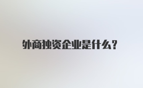 外商独资企业是什么?