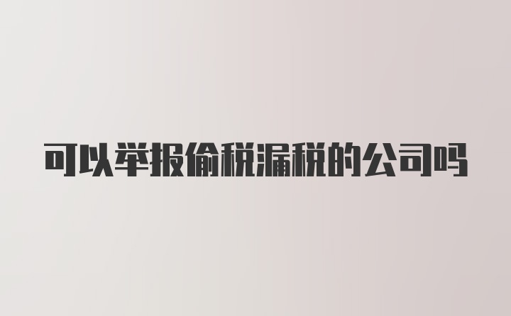 可以举报偷税漏税的公司吗