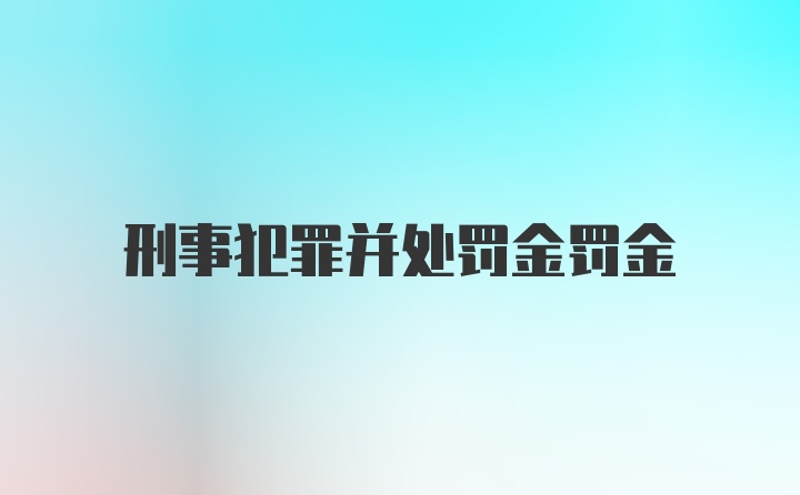 刑事犯罪并处罚金罚金