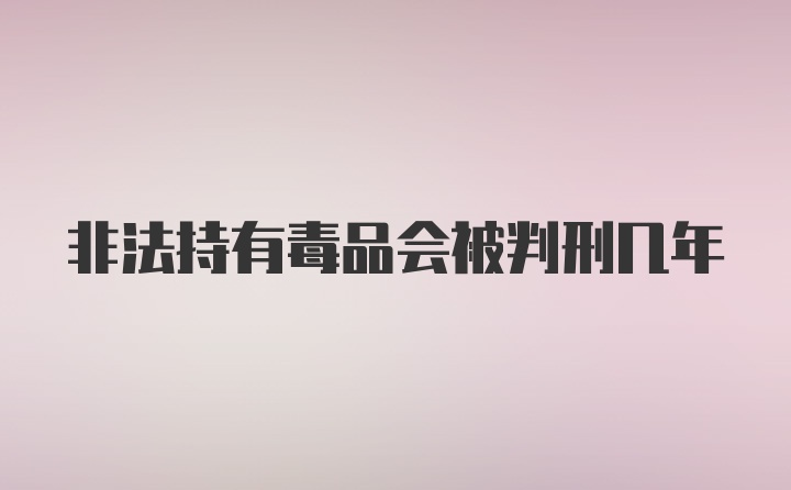 非法持有毒品会被判刑几年