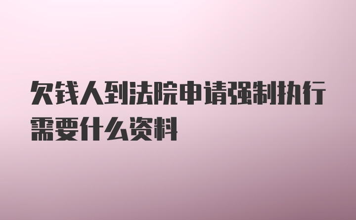 欠钱人到法院申请强制执行需要什么资料