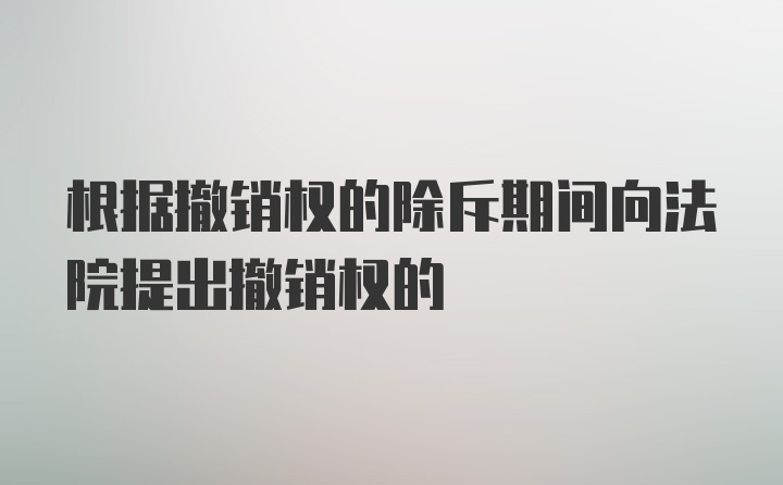 根据撤销权的除斥期间向法院提出撤销权的