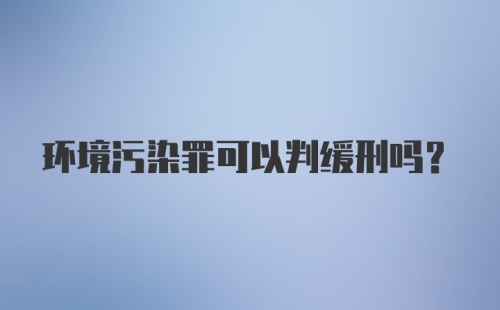 环境污染罪可以判缓刑吗？