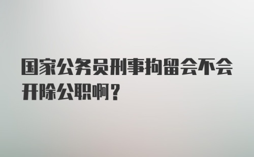 国家公务员刑事拘留会不会开除公职啊？