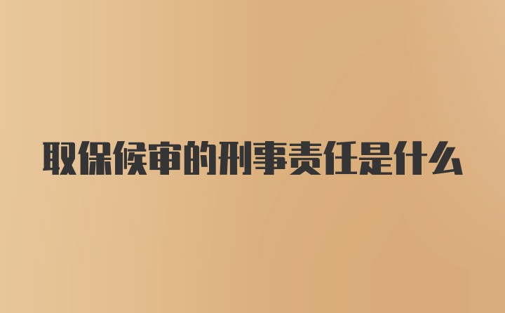 取保候审的刑事责任是什么