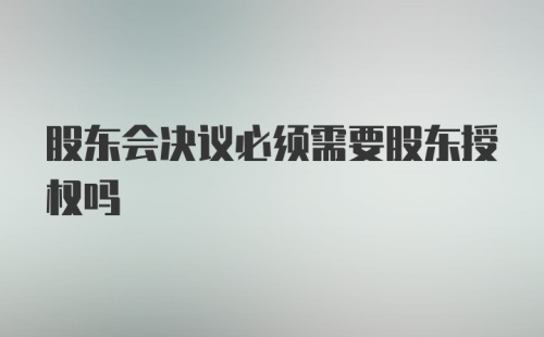 股东会决议必须需要股东授权吗