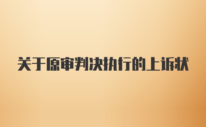 关于原审判决执行的上诉状