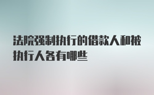 法院强制执行的借款人和被执行人各有哪些