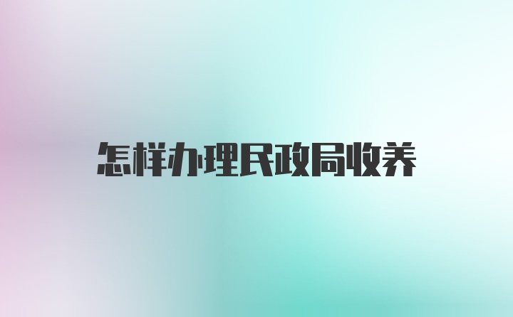 怎样办理民政局收养