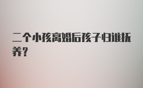 二个小孩离婚后孩子归谁抚养？